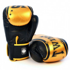 Боксерские перчатки Twins Special FBGV-TW4 Gold Black 10 oz
