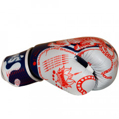 Боксерские перчатки Twins Special FBGVL4-67 Yant 16 oz