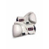 Боксерские перчатки Twins Special BGVL6 white white 12 oz