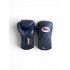 Боксерские перчатки Twins Special BGVL6 Navy/Navy 16 oz