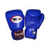 Боксерские перчатки Twins Special BGVL3 blue 8 oz