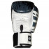 Боксерские перчатки FBGVL3-TW5 black white 12 oz