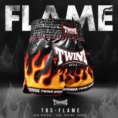 Шорты для бокса Twins Special TBS Flame L