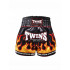 Шорты для бокса Twins Special TBS Flame XL
