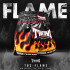 Шорты для бокса Twins Special TBS Flame XL