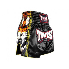 Шорты для бокса Twins Special TBS New Payak L