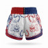 Шорты для Muay Thai Twins Special TBS Yant L