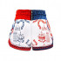 Шорты для Muay Thai Twins Special TBS Yant L