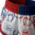 Шорты для Muay Thai Twins Special TBS Yant M