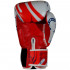 Боксерские перчатки Twins Special FBGVL4-67 Yant 10 oz